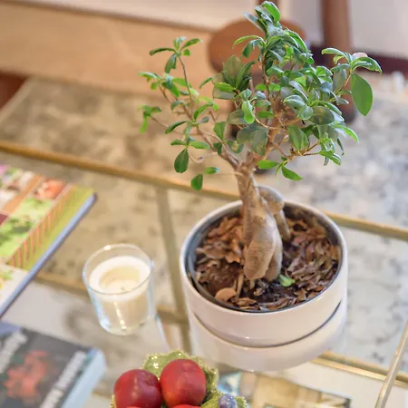 Гостевой дом Quinta Do Bosque