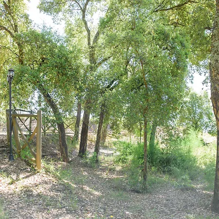 Quinta Do Bosque