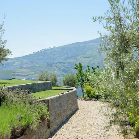 Quinta Do Bosque Мезан-Фриу