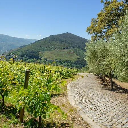 Quinta Do Bosque 게스트하우스 4*