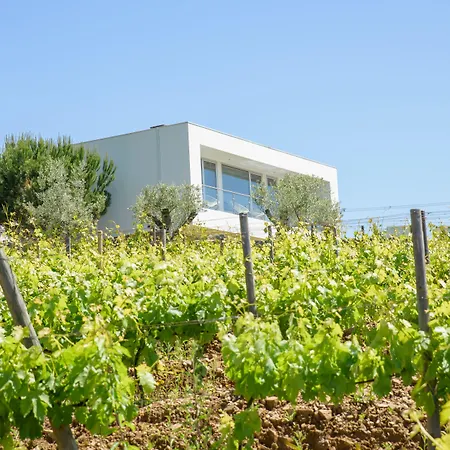 Quinta Do Bosque Πανσιόν