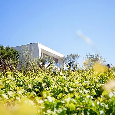 Πανσιόν Quinta Do Bosque 4*