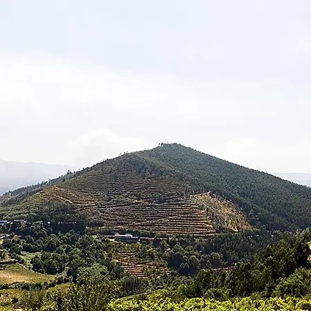 Quinta Do Bosque Mesão Frio