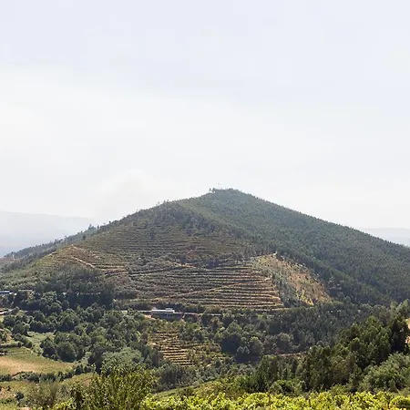 Quinta Do Bosque