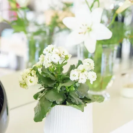 Vendégház Quinta Do Bosque Mesão Frio