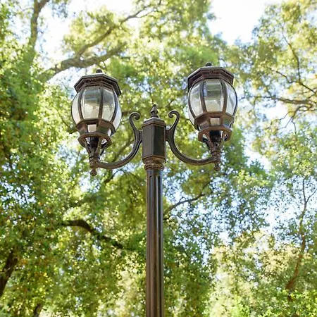 Quinta Do Bosque מסאו פריו