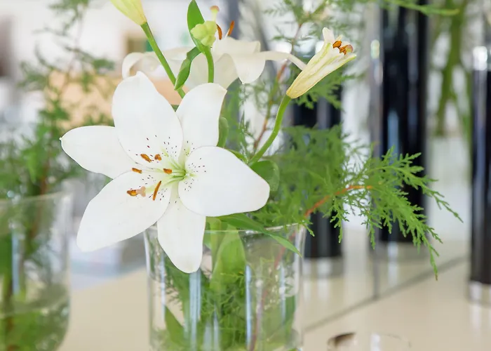 Pensión Quinta Do Bosque 4*