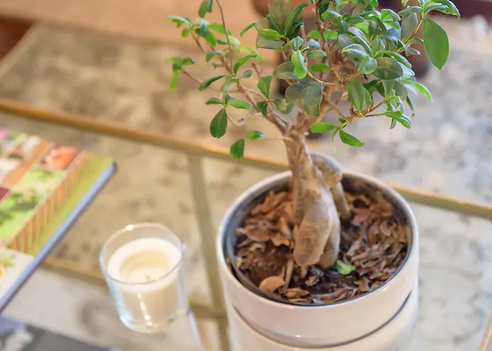 Pensión Quinta Do Bosque