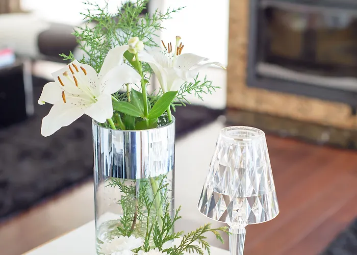 Quinta Do Bosque Pensión Mesão Frio