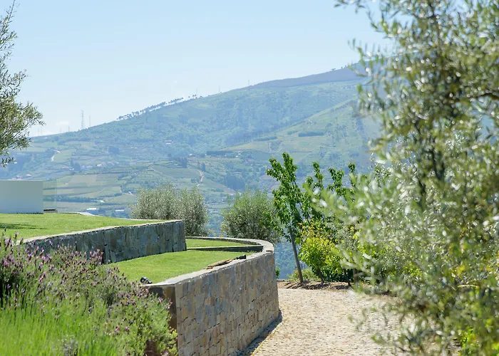 Quinta Do Bosque Mesão Frio