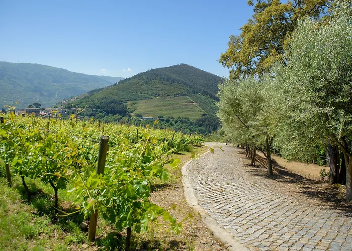 Quinta Do Bosque בית הארחה 4*