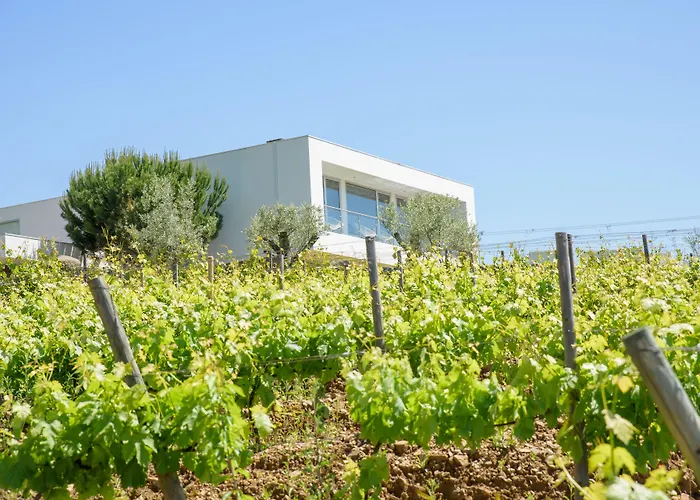 Quinta Do Bosque בית הארחה