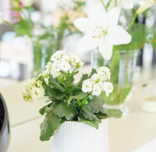 בית הארחה Quinta Do Bosque מסאו פריו