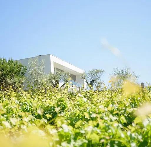 Pensión Quinta Do Bosque 4*